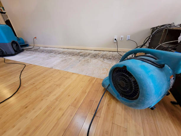 Professional Emergency Water Damage technician working in Orient, OH